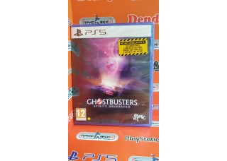 Ghostbusters: Spirit Unleashed [PS5, английская версия]