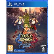 Double Dragon Gaiden: Rise of the Dragons [PS4, английская версия]