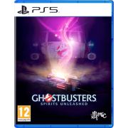 Ghostbusters: Spirit Unleashed [PS5, английская версия]