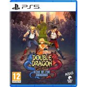 Double Dragon Gaiden: Rise of the Dragons [PS5, английская версия]